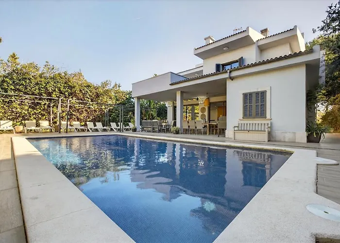 Vertice - Bright Luxury *